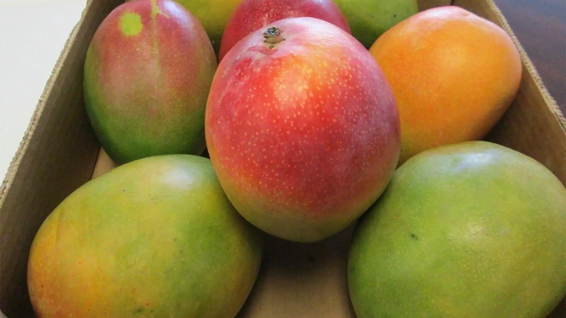 African Mango Extract